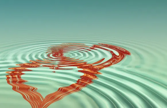 Kazino Barbados Bingo Pagalba